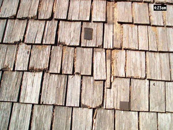 Aged Cedar - In Alberta's dry climate, cedar shakes tend to split, crack, and fall apart much sooner than they should.
